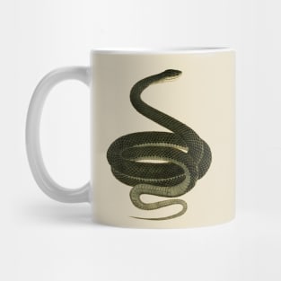 serpent,cobra,reptile,viper,venom,lizard,rattlesnake,king cobra,dragon,hydra,poison,venomous,plumber's snake,pythonidae,pythons,auger,python,squamata,serpentine,worm,big,ophidian,rattlesnakes,medusa,snakebite Mug